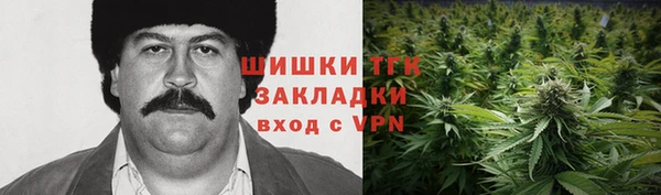 spice Новодвинск