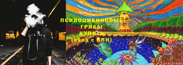 spice Новодвинск