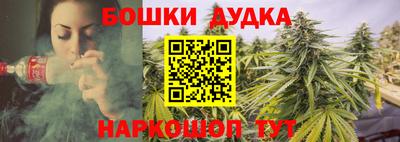 гашик Гусев