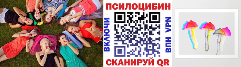 Псилоцибиновые грибы Cubensis  как найти закладки  Моздок 