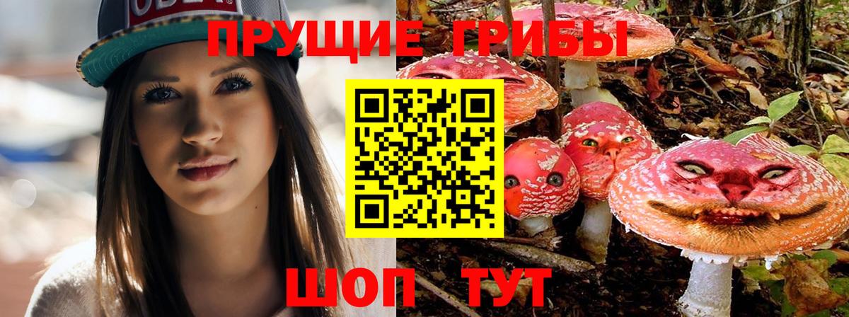 Моздок  Псилоцибиновые грибы мухоморы  Вход с VPN  Галлюциногенные грибы мицелий 