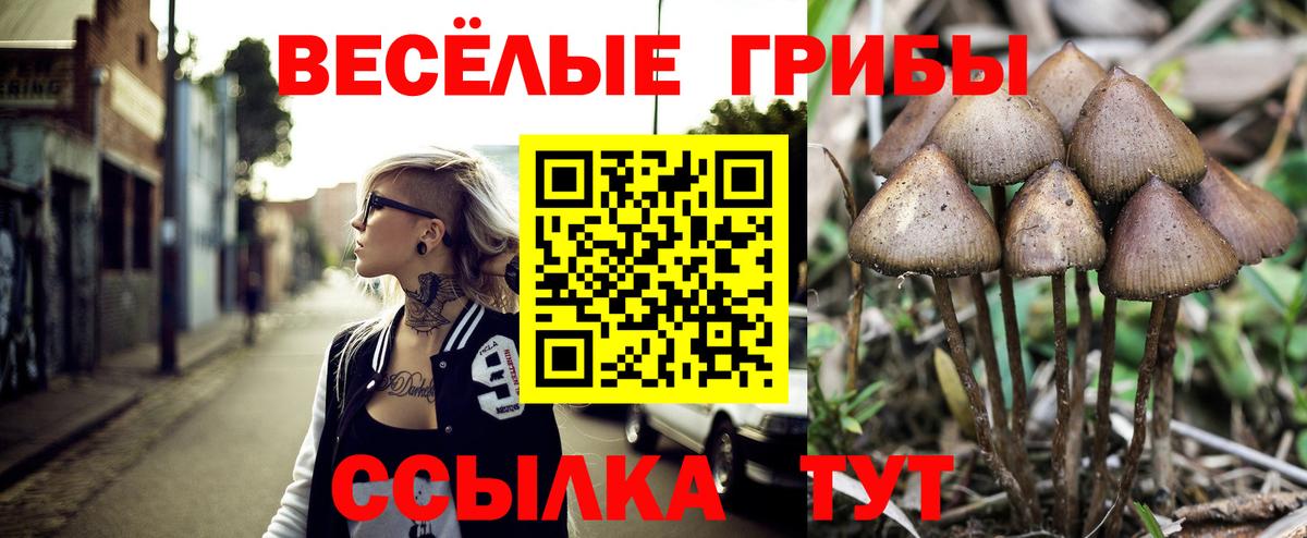 Галлюциногенные грибы прущие грибы Моздок